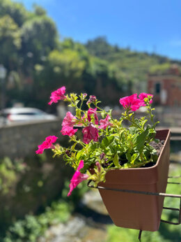 Camere Fontanavecchia in Via Gavino